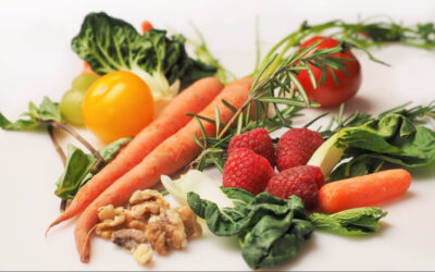 Accumsan id imperdiet et porttitor